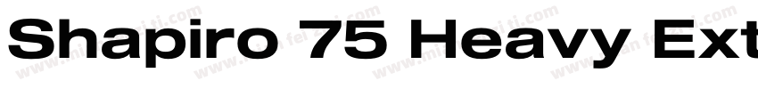 Shapiro 75 Heavy Extd字体转换